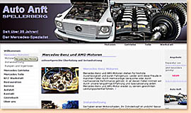 Auto-Anft